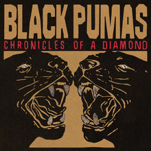 Black Pumas - Chronicles of a Diamond (Standard Edition, Clear LP Vinyl)