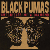 Black Pumas - Chronicles of a Diamond (Indie Exclusive, Cloudy Red LP Vinyl) UPC: 880882585617