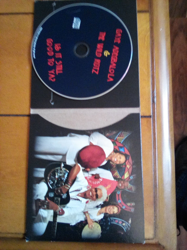 Gaye Adegbalola & The Wild Rutz : Is It Still Good To Ya? (Album)