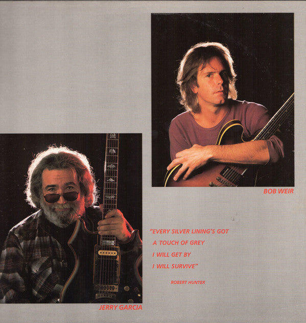 Grateful Dead, The : In The Dark (LP,Album,Stereo)