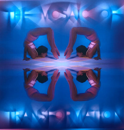 Kaitlyn Aurelia Smith : The Mosaic Of Transformation (LP,Album)