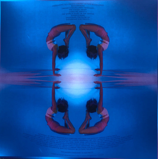 Kaitlyn Aurelia Smith : The Mosaic Of Transformation (LP,Album)
