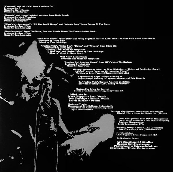 Blink-182 : Greatest Hits (LP)