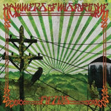 Hammers Of Misfortune : Fields/Church Of Broken Glass (LP,Album)