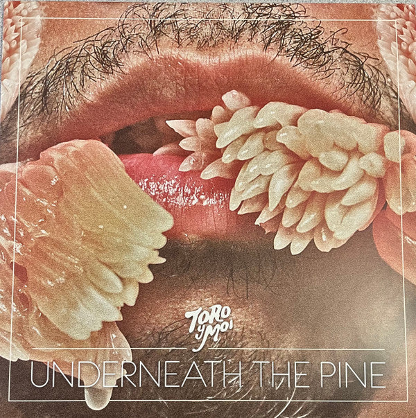 Toro Y Moi : Underneath The Pine (LP,Album,Limited Edition,Reissue,Repress)