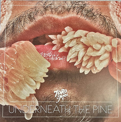 Toro Y Moi : Underneath The Pine (LP,Album,Limited Edition,Reissue,Repress)