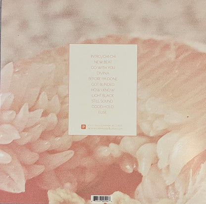 Toro Y Moi : Underneath The Pine (LP,Album,Limited Edition,Reissue,Repress)