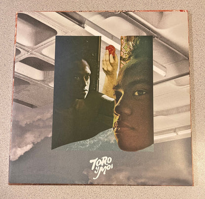 Toro Y Moi : Underneath The Pine (LP,Album,Limited Edition,Reissue,Repress)