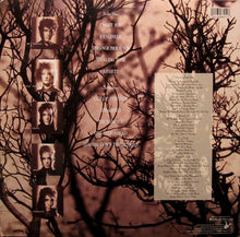 Animotion : Strange Behavior (LP,Album)