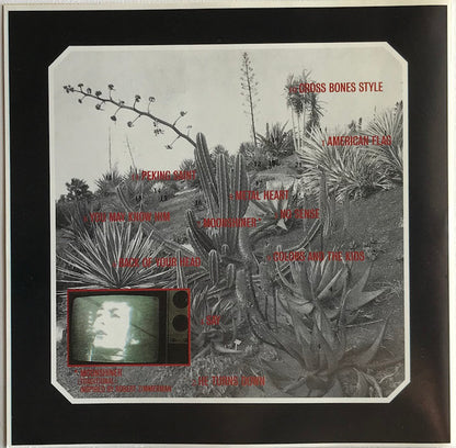 Cat Power : Moon Pix (Album)