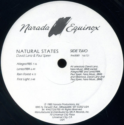 David Lanz & Paul Speer : Natural States (LP,Album)