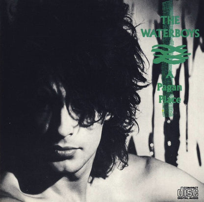 Waterboys, The : A Pagan Place (Album,Reissue)