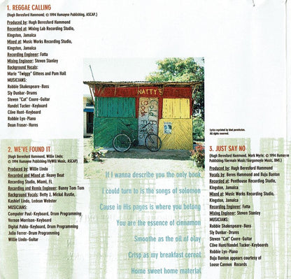 Beres Hammond : In Control (Album)