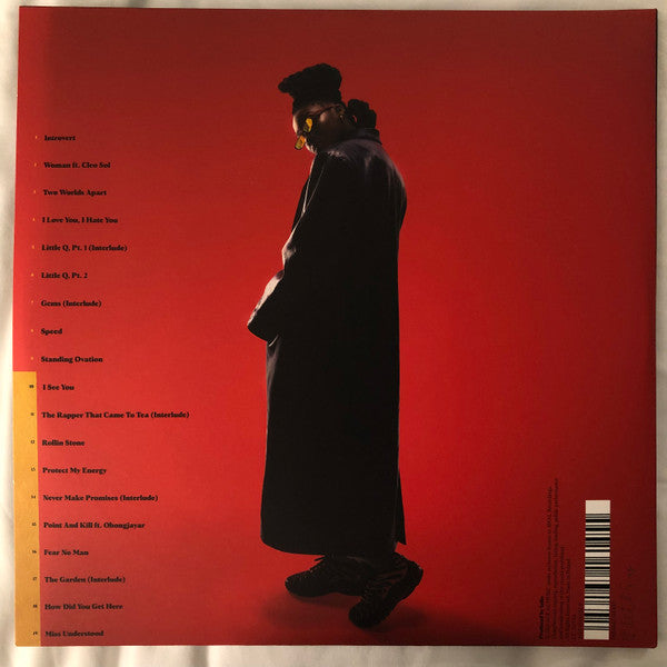 Little Simz : Sometimes I Might Be Introvert  (LP,Album,Limited Edition)