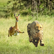 Thundercat & Tame Impala - No More Lies (7inch Single, Single Sided Cheetah Screenprint) UPC: 617308046847	