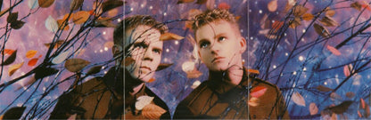 Erasure : Wild! (Album)