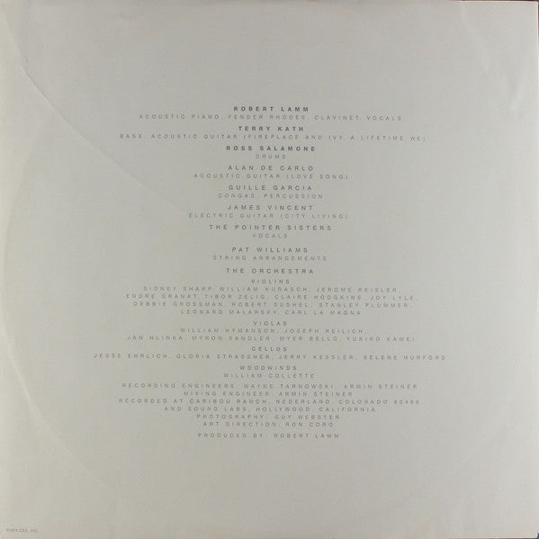 Robert Lamm : Skinny Boy (LP,Album)