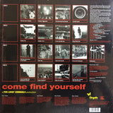 Fun Lovin' Criminals : Come Find Yourself (LP)