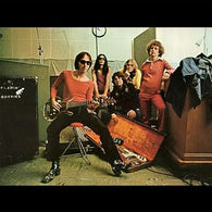 Flamin' Groovies, The : Teenage Head (LP,Album,Reissue)