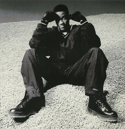 Will Smith : Big Willie Style (Album)