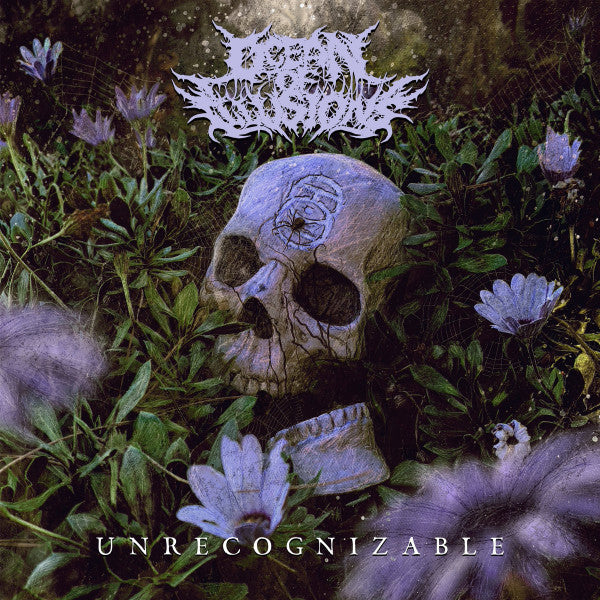 Ocean Of Illusions : Unrecognizable (LP)