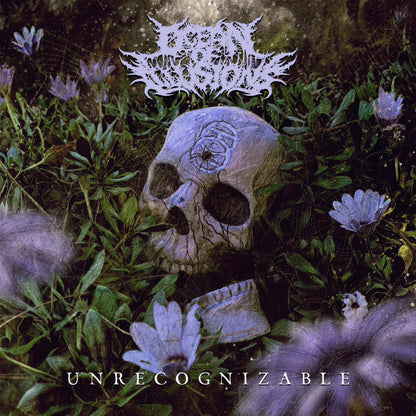 Ocean Of Illusions : Unrecognizable (LP)
