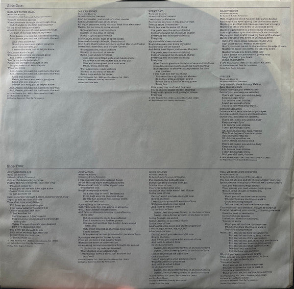 Sanford-Townsend Band, The : Nail Me To The Wall (LP,Album)