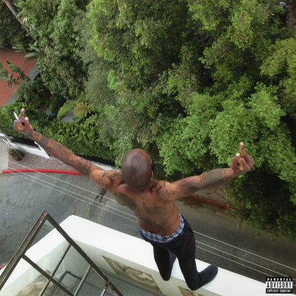 Death Grips : No Love Deep Web (LP,Album,Limited Edition,Reissue,Special Edition)