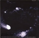 Swans : My Father Will Guide Me Up A Rope To The Sky (LP,Album)