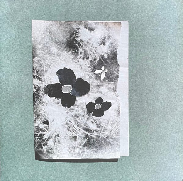 Iceblink : Carpet Cocoon (LP,Album)