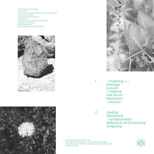David Edren : Relativiteit Van De Omgeving (LP,Album)