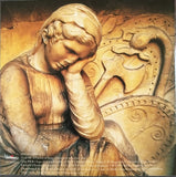 Chieftains, The : Tears Of Stone (Album)