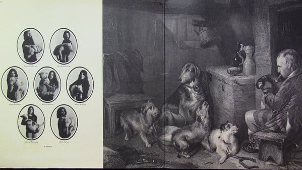 Pavlov's Dog : Pampered Menial (LP,Album)