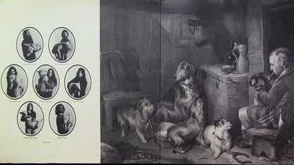 Pavlov's Dog : Pampered Menial (LP,Album)
