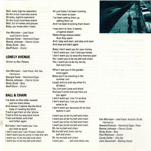 Van Morrison : Too Long In Exile (Album)