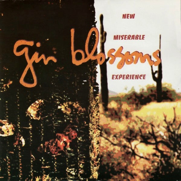 Gin Blossoms : New Miserable Experience (Album,Stereo)