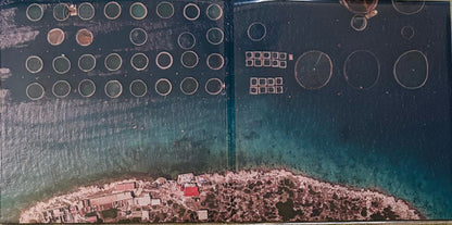Various : Vinyl Moon Volume 094:  Fraternal Eternal (LP,Compilation)