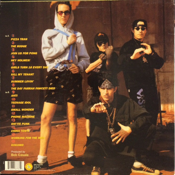 Vandals, The : Fear Of A Punk Planet (LP,Album,Reissue)