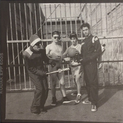 Vandals, The : Fear Of A Punk Planet (LP,Album,Reissue)
