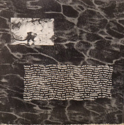 Nirvana : Nevermind (LP,Album,Limited Edition,Reissue,Repress)