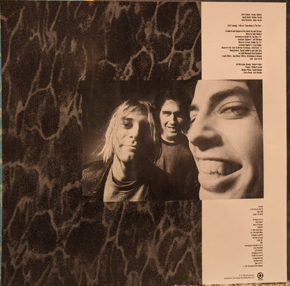 Nirvana : Nevermind (LP,Album,Limited Edition,Reissue,Repress)