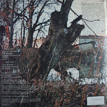 Black Sabbath : Black Sabbath (LP,Album,Limited Edition,Reissue)