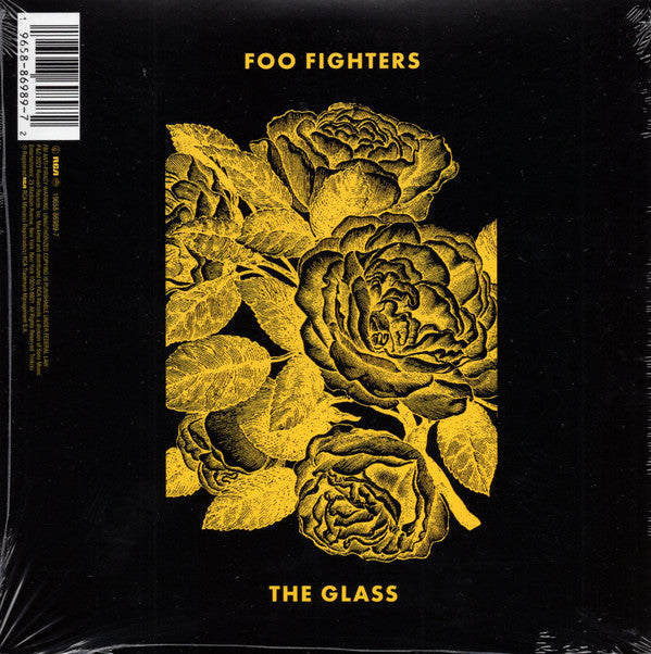 H.E.R. (2), Foo Fighters : The Glass (7")