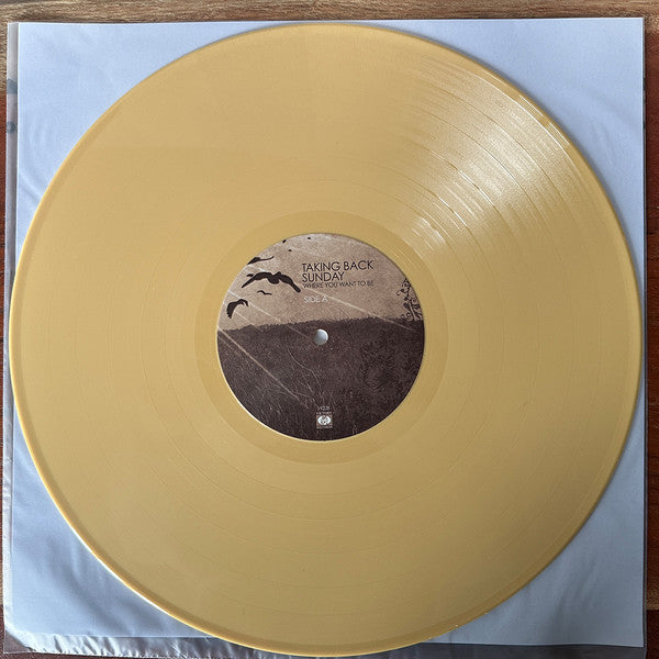 Taking Back Sunday : Where You Want To Be (LP,Album,Limited Edition,Reissue,Repress,Stereo)