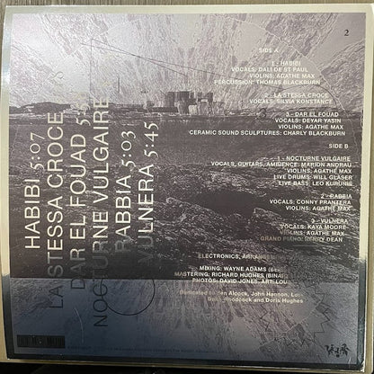 UKAEA : Birds Catching Fire In The Sky (LP,Album,Limited Edition)