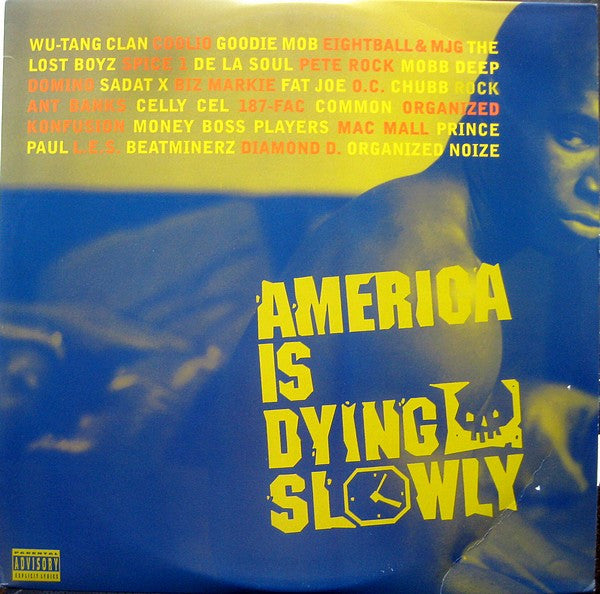 Various : America Is Dying Slowly (LP,Compilation,Stereo)