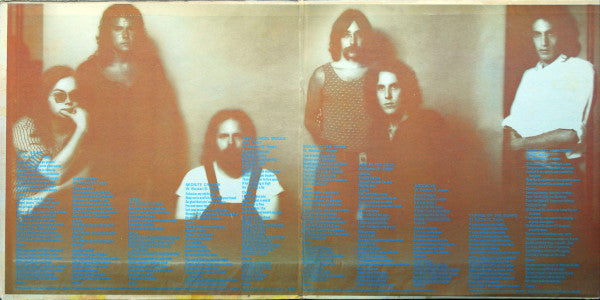 Steely Dan : Can't Buy A Thrill (LP,Album)