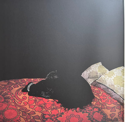 Los Campesinos! : We Are Beautiful, We Are Doomed (LP,Album,Club Edition,Reissue,Remastered,Stereo)