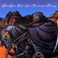 Blue Öyster Cult : Some Enchanted Evening (LP,Album)