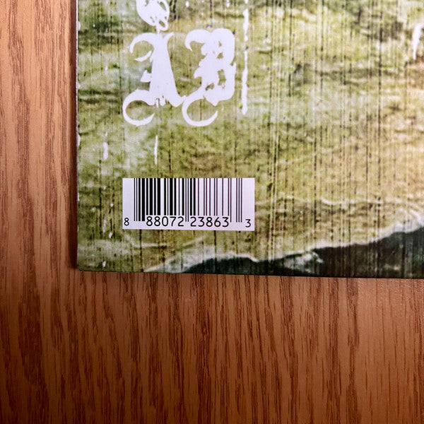 Alter Bridge : One Day Remains (LP,Album,Deluxe Edition,Limited Edition,Reissue)